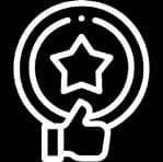 Excellence - Pixel Perfects Solutions LLC