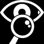 Attention to Detail - Pixel Perfects Solutions LLC