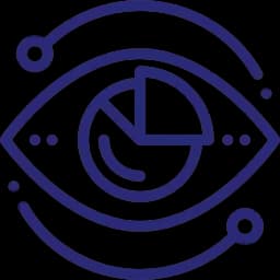 Enhanced Visualization - Pixel Perfects Solutions LLC