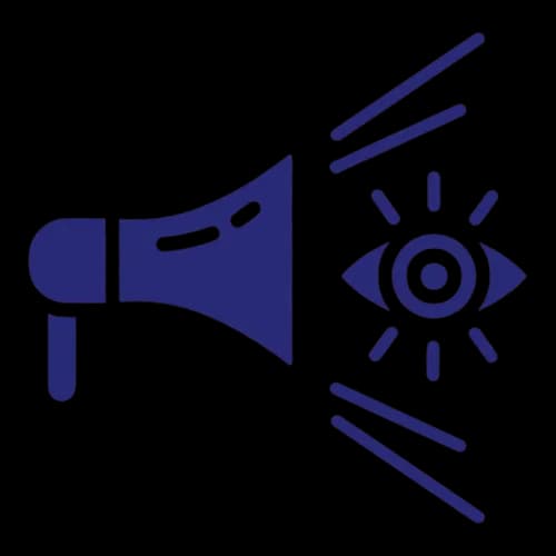 Maximize Visibility - Pixel Perfects Solutions LLC