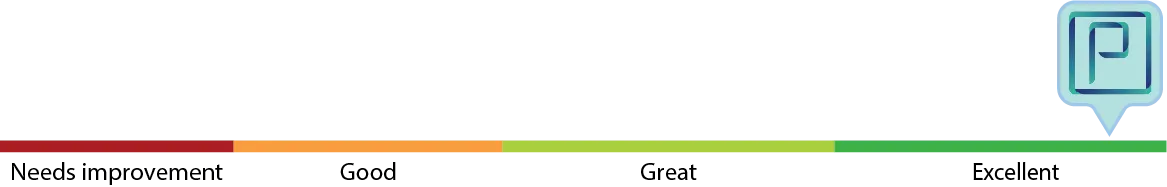 Customer Satisfaction is Our Priority - Pixel Perfects Solutions LLC Customer Satisfaction is Our Priority - Pixel Perfects Solutions LLC